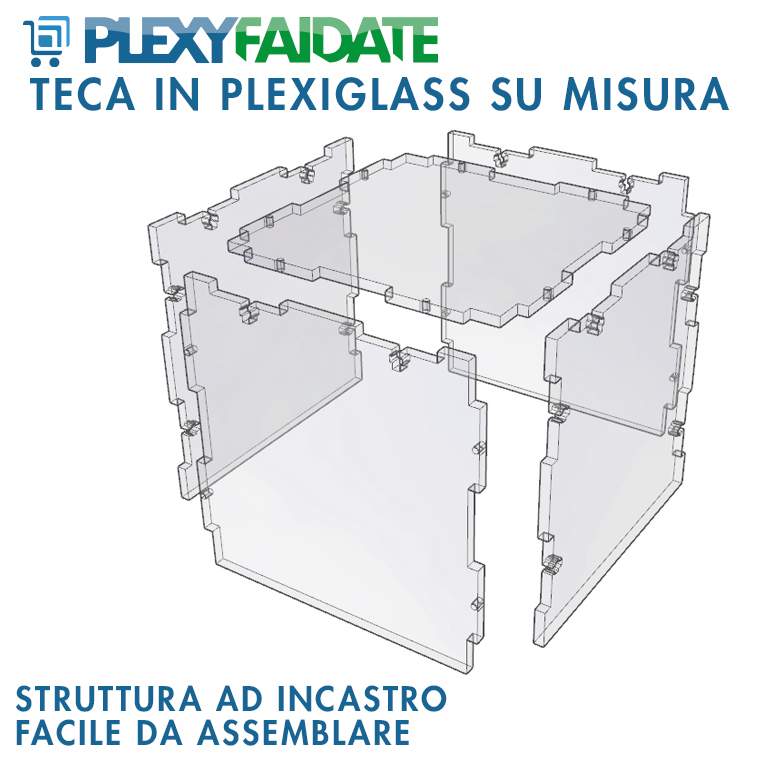 Teca in plexiglass struttura